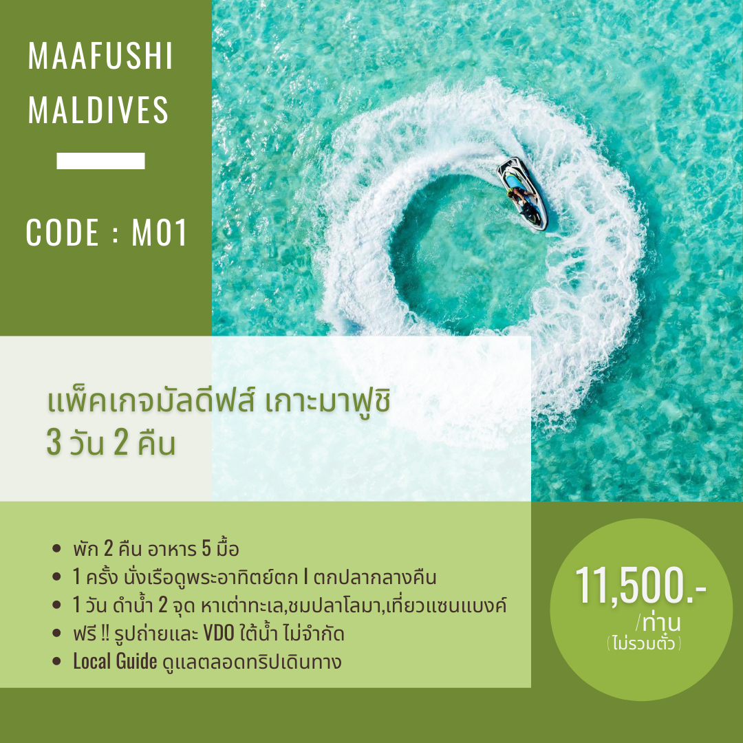 C01 : แพ็คเกจมาฟูชิ 3 วัน 2 คืน ตกปลา นั่งเรือดูพระอาทิตย์ ดำน้ำกับเต่า โลมา เที่ยวแซนแบงค์