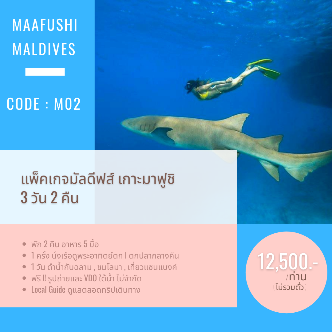 C02 : แพ็คเกจมาฟูชิ 3 วัน 2 คืน ตกปลากลางคืน นั่งเรือดูพระอาทิตย์ตก ดำน้ำกับฉลาม โลมา เที่ยวแซนแบงค์