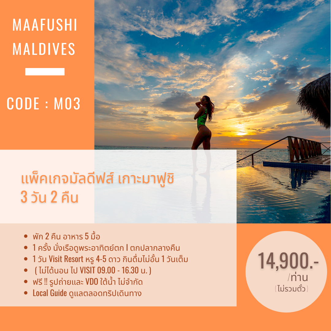 C03 : แพ็คเกจมาฟูชิ 3 วัน 2 คืน ตกปลากลางคืน นั่งเรือดูพระอาทิตย์ตก Visit Resort  หรู 1 วันเต็ม