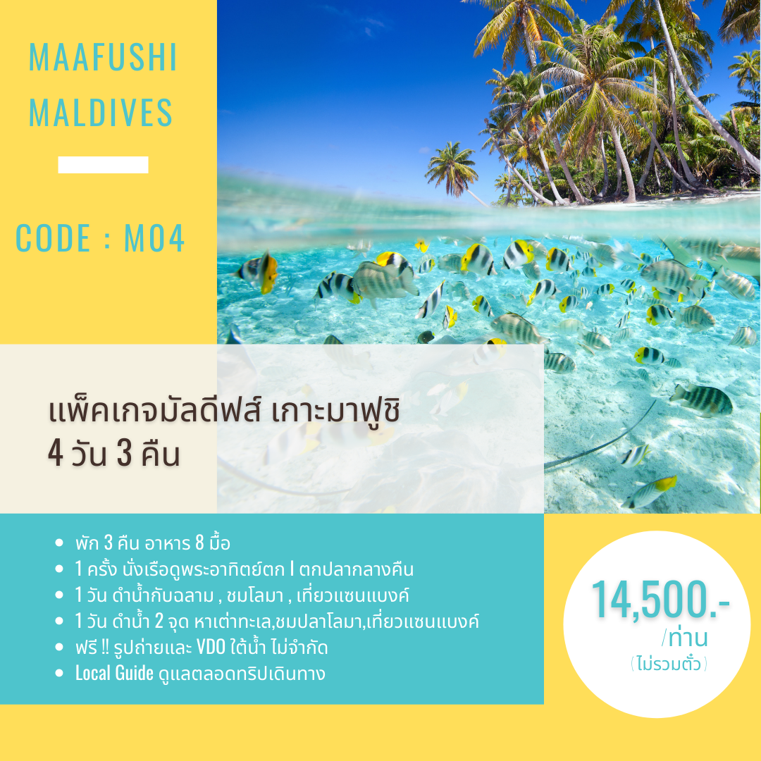 C04 : แพ็คเกจมาฟูชิ 4 วัน 3 คืน  Fishing Snorkeling 2 วัน ปลาฉลาม เต่า โลมา เที่ยวแซนแบงค์