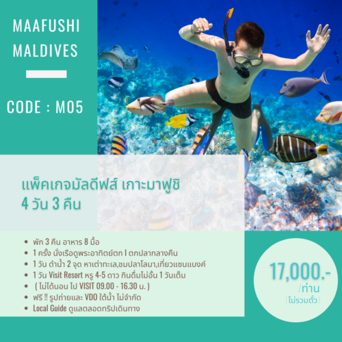C05 : แพ็คเกจมาฟูชิ 4 วัน 3 คืน  Fishing Snorkeling Visit Resort ดำน้ำกับเต่า เที่ยวแซนแบงค์ ปลาโลมา