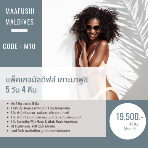 C10 : มาฟูชิ 5 วัน 4 คืน ตกปลากลางคืน ดำน้ำกับฉลาม โลมา แซนแบงค์ เต่า แมนต้า ฉลามวาฬ