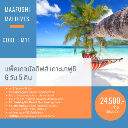 C11 : แพ็คเกจ 6 วัน 5 คืน ตกปลากลางคืน นั่งเรือดูพระอาทิตย์ตก ดำน้ำกับฉลาม เต่า โลมา visit resort แมนต้า ฉลามวาฬ